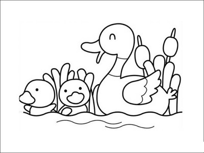 鸭子玩水简笔画