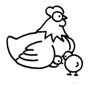 母鸡和小鸡简笔画保护图片