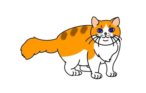 小橘猫简笔画图片