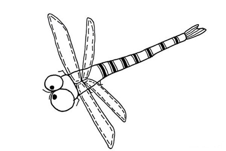 可爱蜻蜓简笔画图片