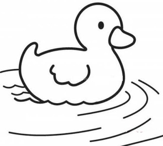 水里游的鸭子简笔画