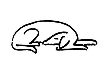 儿童简笔画：睡觉的狗