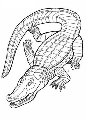 动物简笔画大全:凶恶的鳄鱼