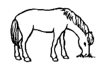 小马吃草简笔画图片