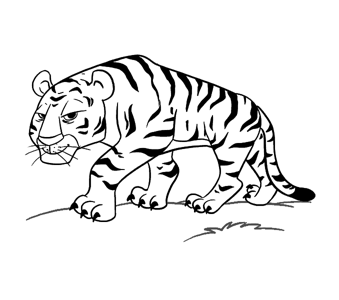 老虎站着的简笔画手绘图片