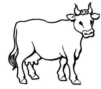 牛的简笔画图片