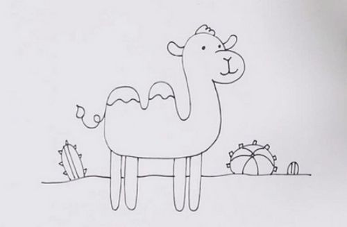 沙漠里的动物 简笔画图片