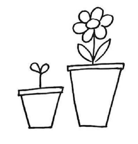 植物简笔画简单花盆图片