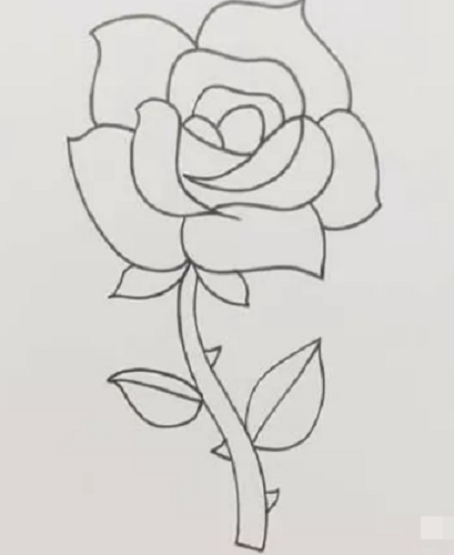 一朵玫瑰花怎么画,图片,简笔画