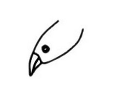 可爱幼儿海鸥简笔画怎么画