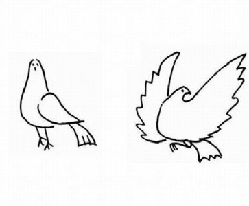 如何画和平鸽