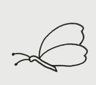 蝴蝶简笔画儿童画简单