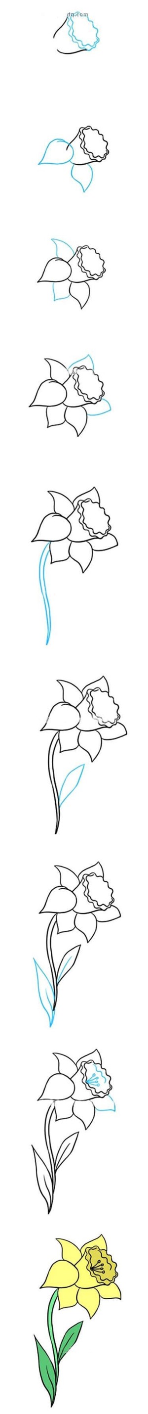 怎么画水仙花