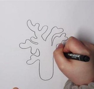 彩色珊瑚简笔画教程