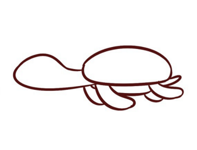 带颜色海龟简笔画教程画法