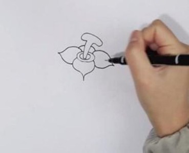 柿子简笔画简单画法