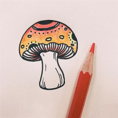 彩色蘑菇简笔画教程怎么画（彩色蘑菇简笔画图片）